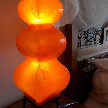 Le Clos Des Palmiers Saint-Ouen-d'Aunis