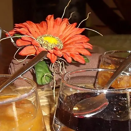 Le Clos Des Palmiers Bed & Breakfast Saint-Ouen-d'Aunis