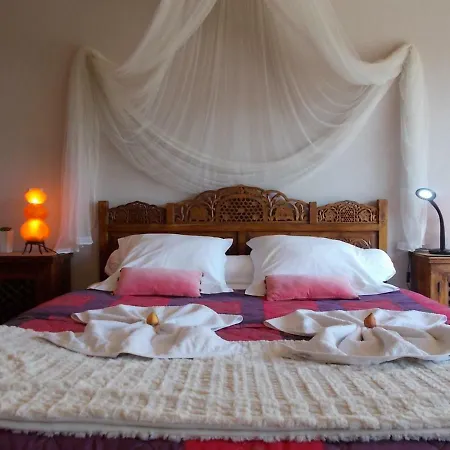 Le Clos Des Palmiers